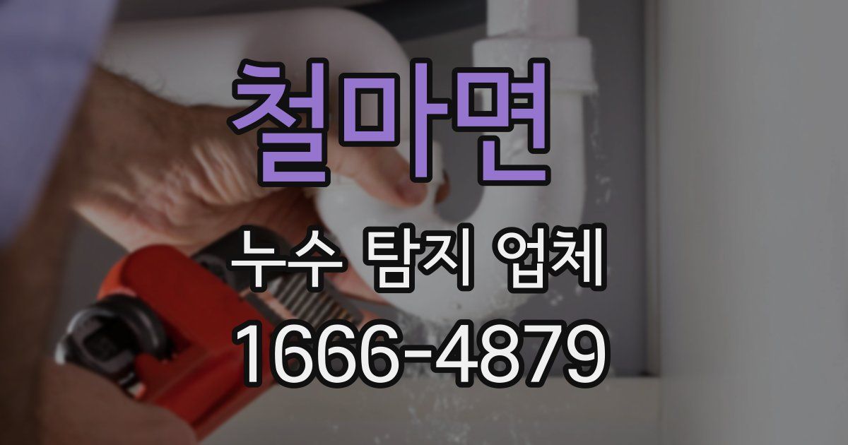 철마면 누수 탐지 업체