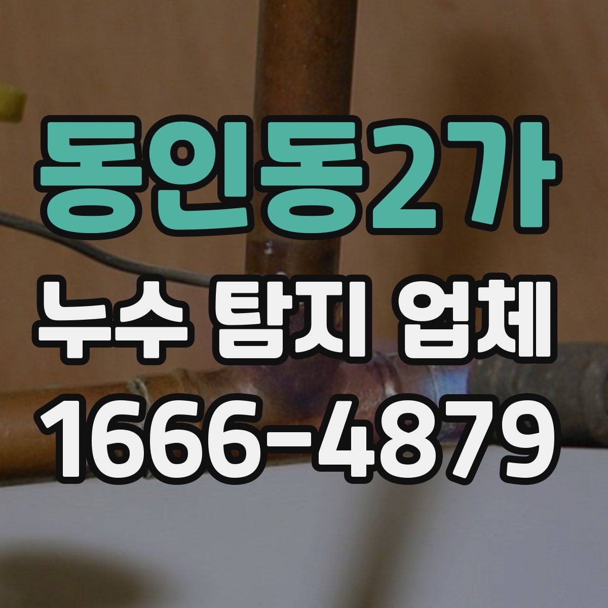 동인동2가 누수 탐지 업체