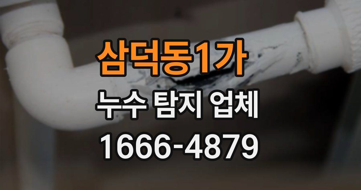 삼덕동1가 누수 탐지 업체