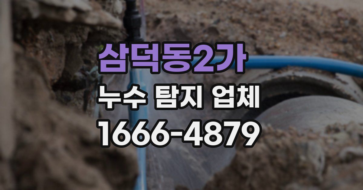 삼덕동2가 누수 탐지 업체