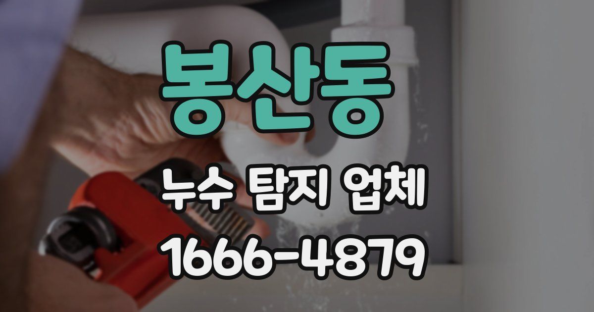 봉산동 누수 탐지 업체