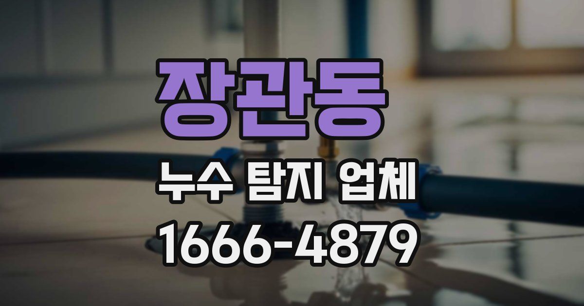 장관동 누수 탐지 업체