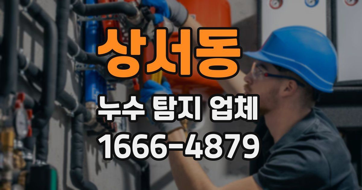 상서동 누수 탐지 업체