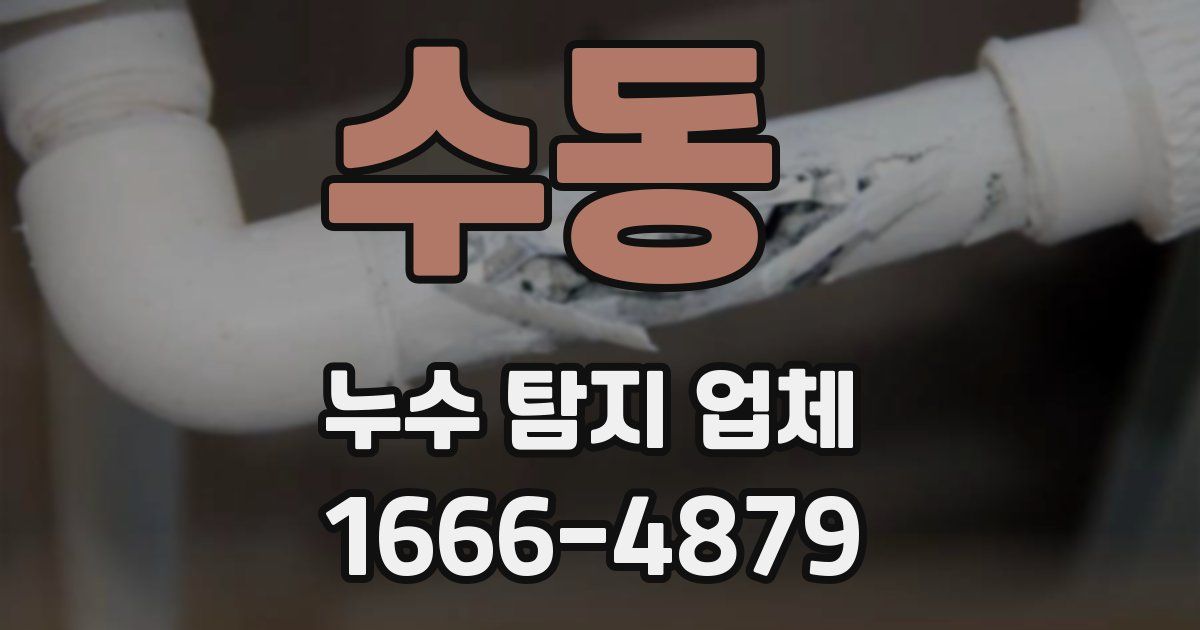 수동 누수 탐지 업체