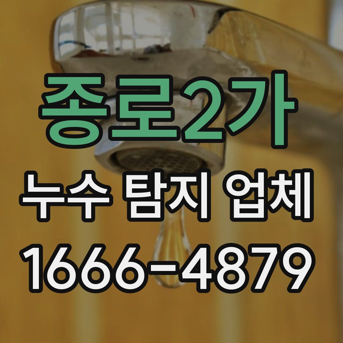 종로2가 누수 탐지 업체