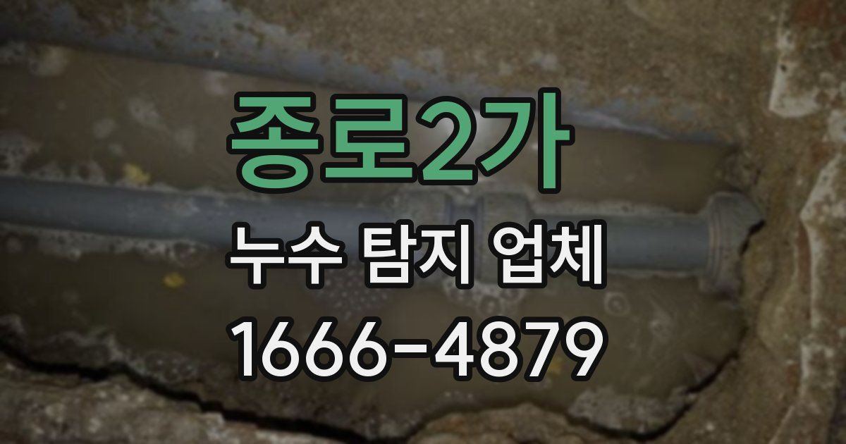 종로2가 누수 탐지 업체