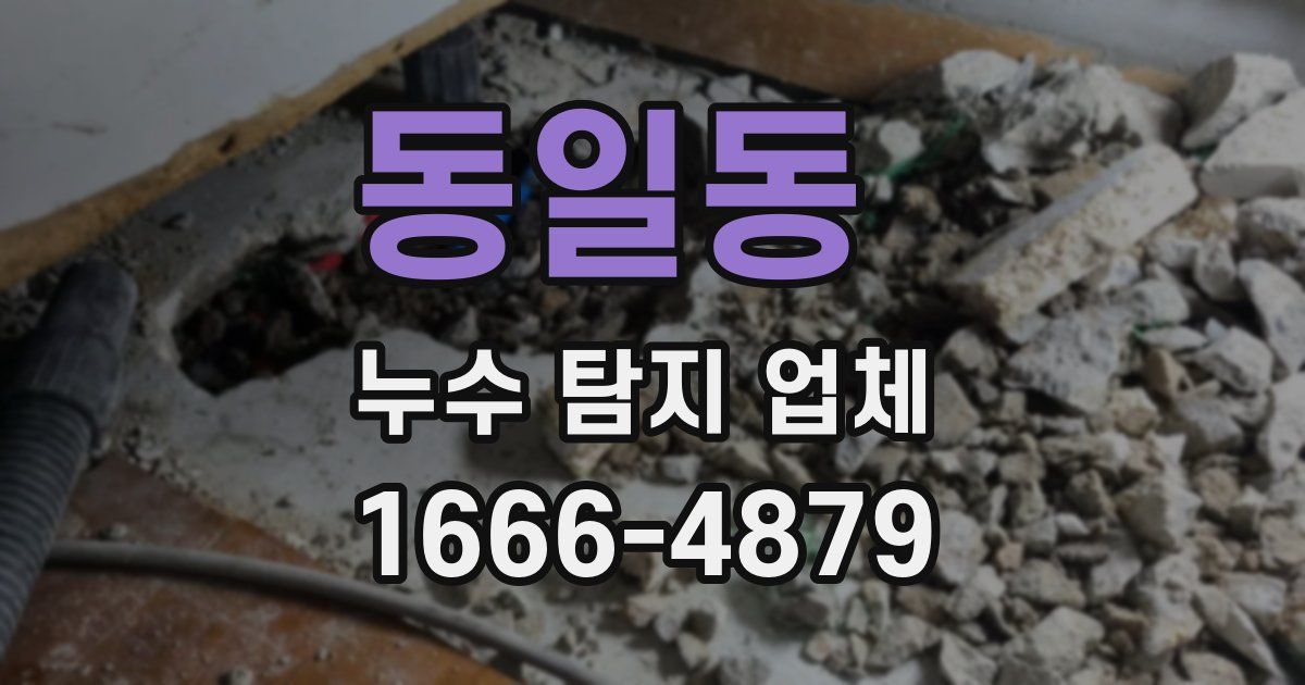 동일동 누수 탐지 업체