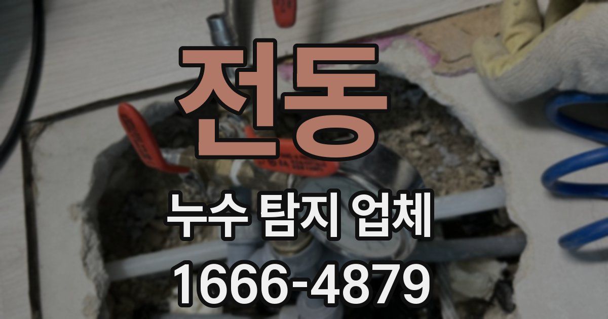 전동 누수 탐지 업체