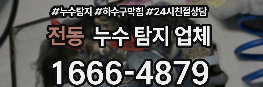 전동 누수 탐지 업체