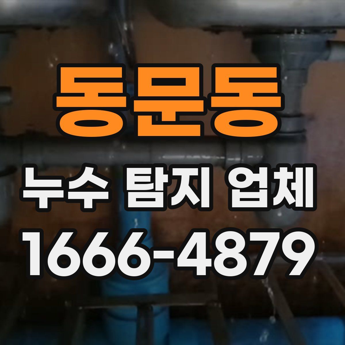동문동 누수 탐지 업체