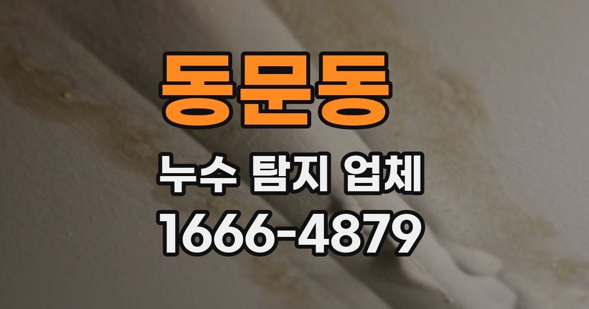 동문동 누수 탐지 업체