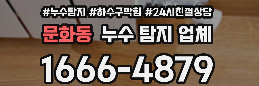 문화동 누수 탐지 업체