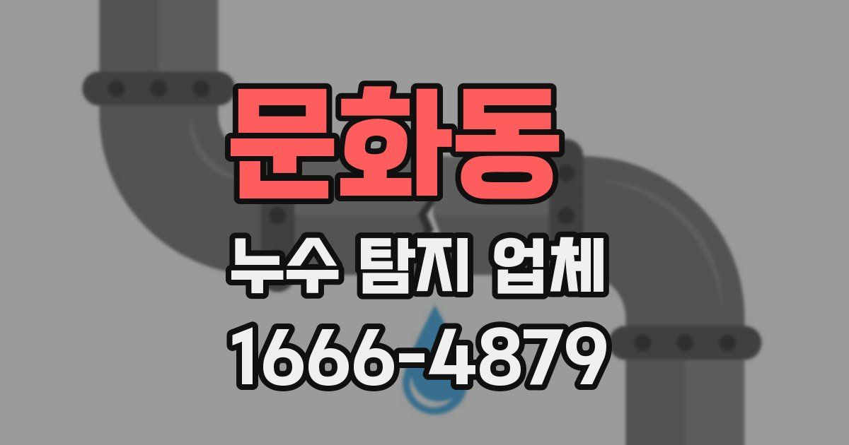 문화동 누수 탐지 업체