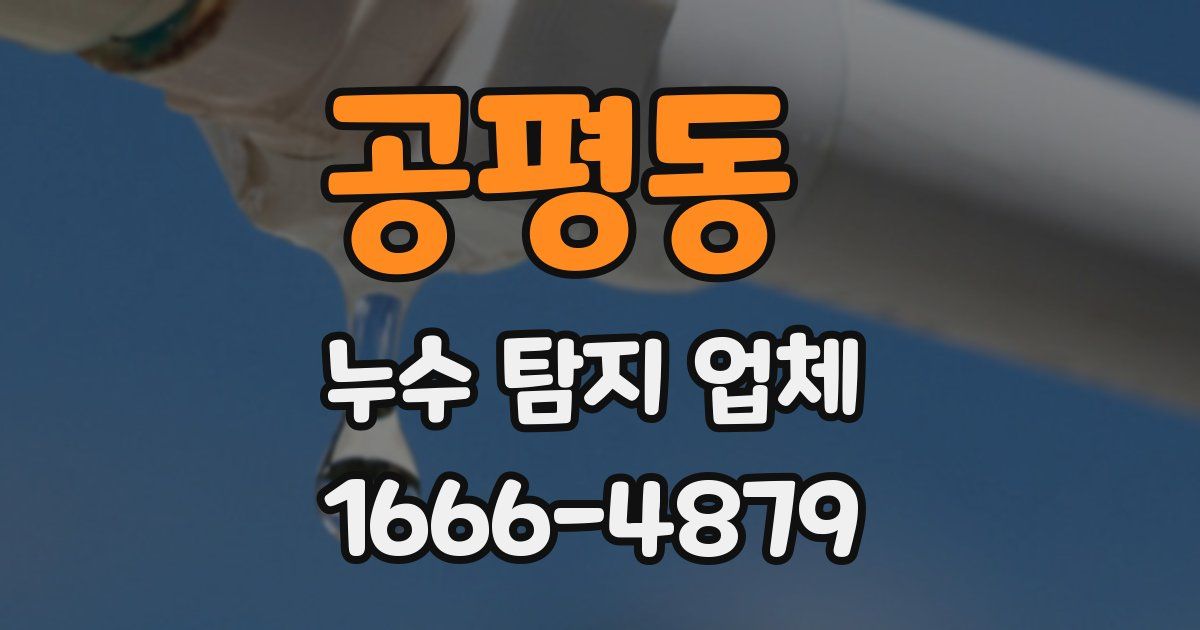 공평동 누수 탐지 업체