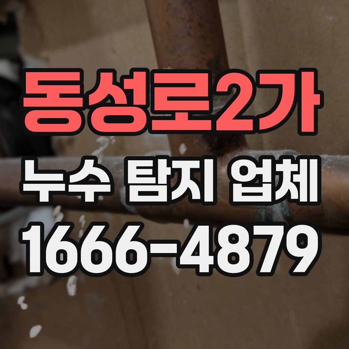 동성로2가 누수 탐지 업체