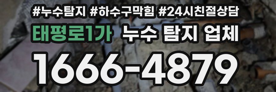 태평로1가 누수 탐지 업체
