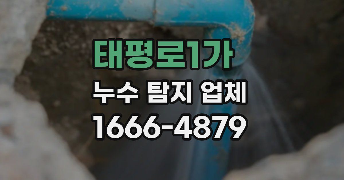 태평로1가 누수 탐지 업체