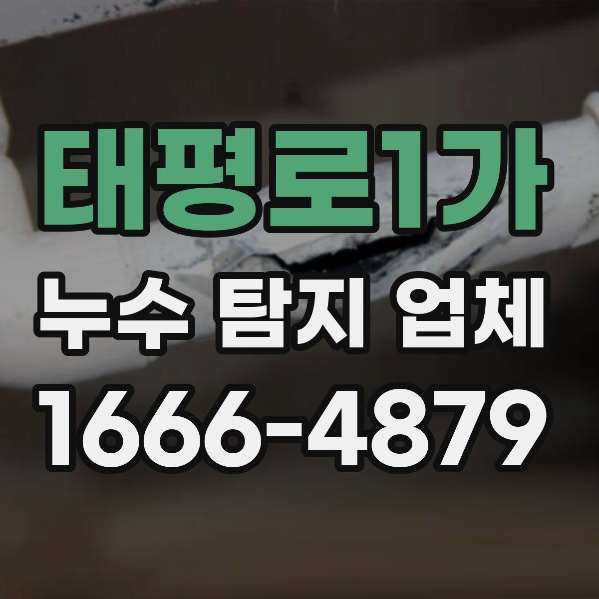 태평로1가 누수 탐지 업체