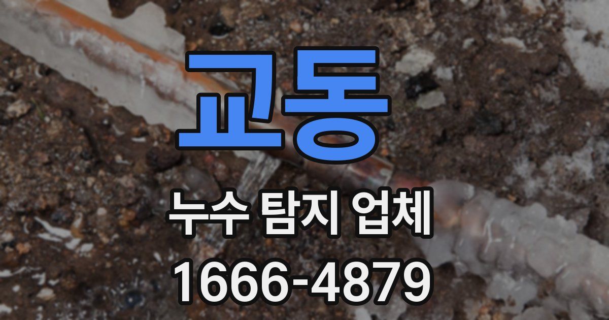 교동 누수 탐지 업체