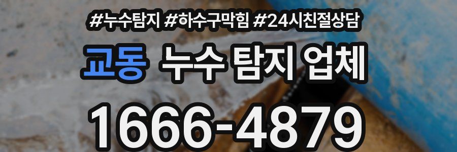 교동 누수 탐지 업체