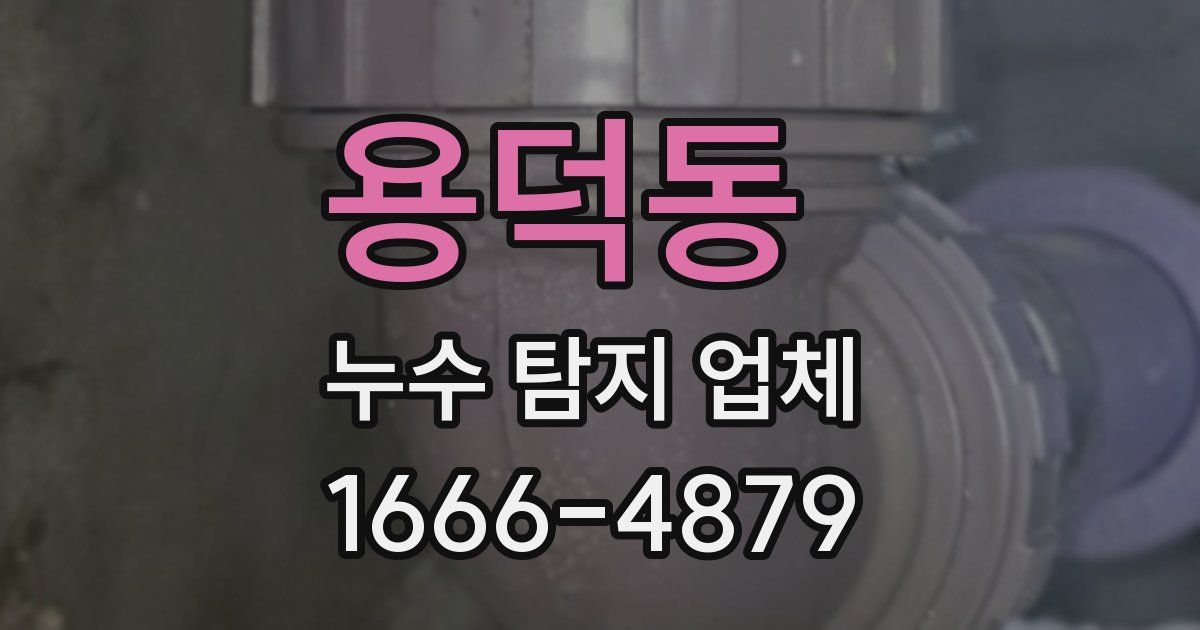 용덕동 누수 탐지 업체