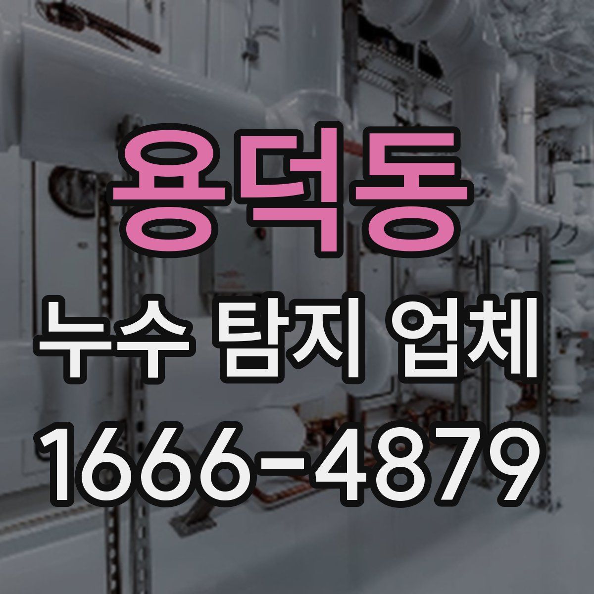 용덕동 누수 탐지 업체