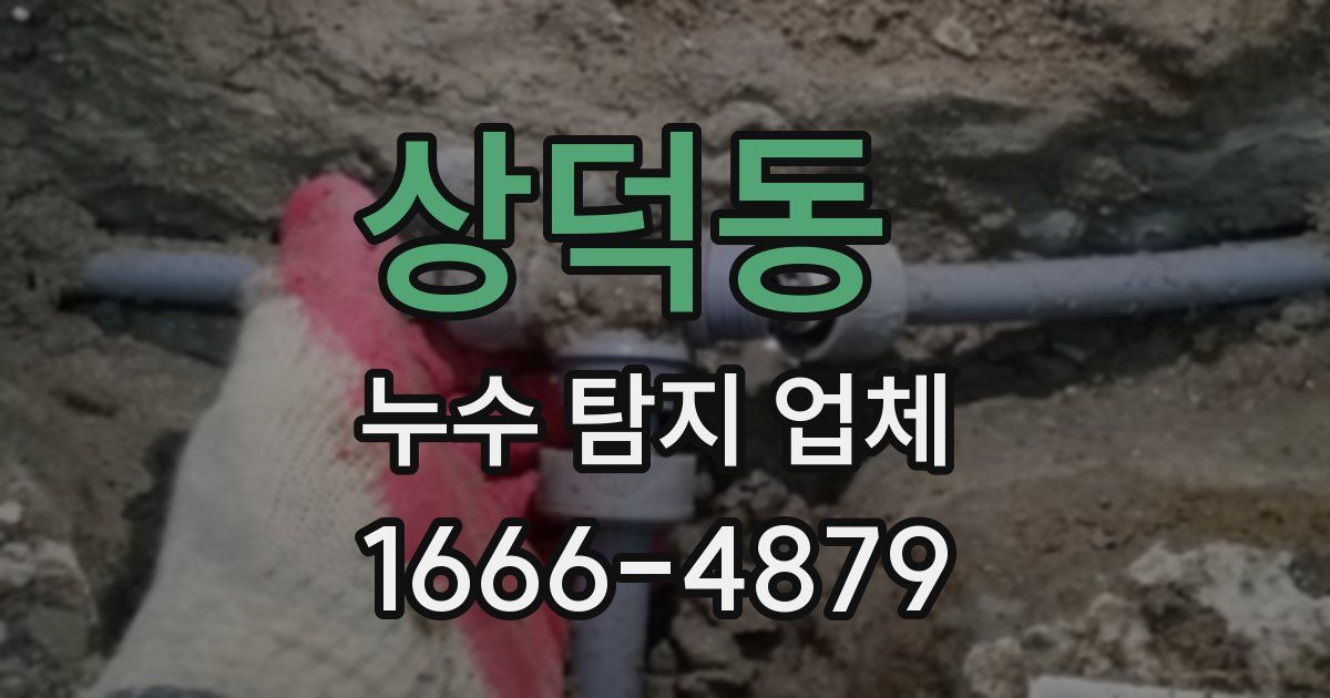상덕동 누수 탐지 업체