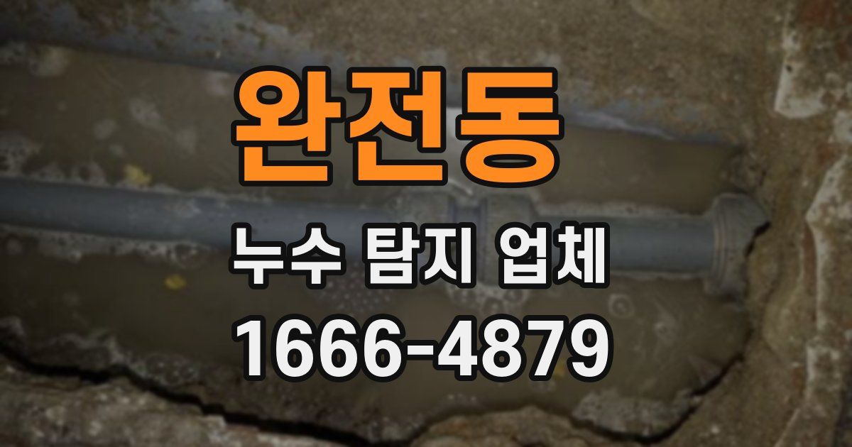 완전동 누수 탐지 업체