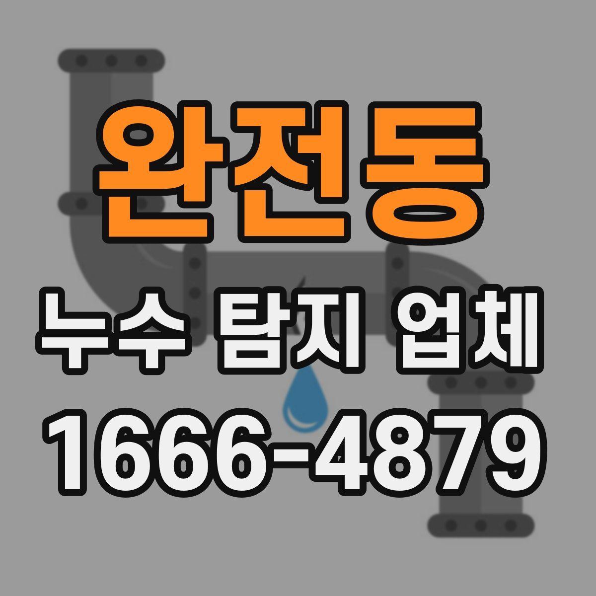 완전동 누수 탐지 업체