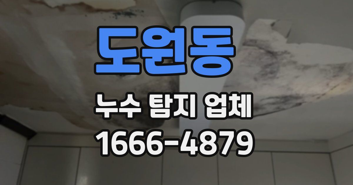 도원동 누수 탐지 업체