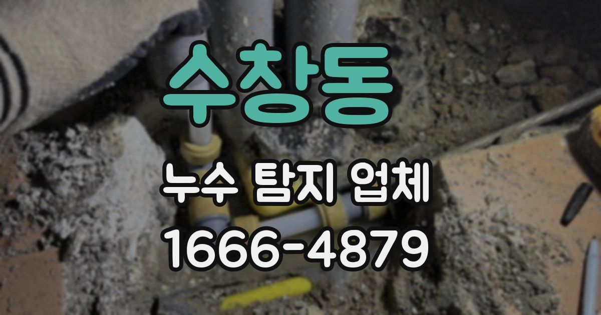 수창동 누수 탐지 업체