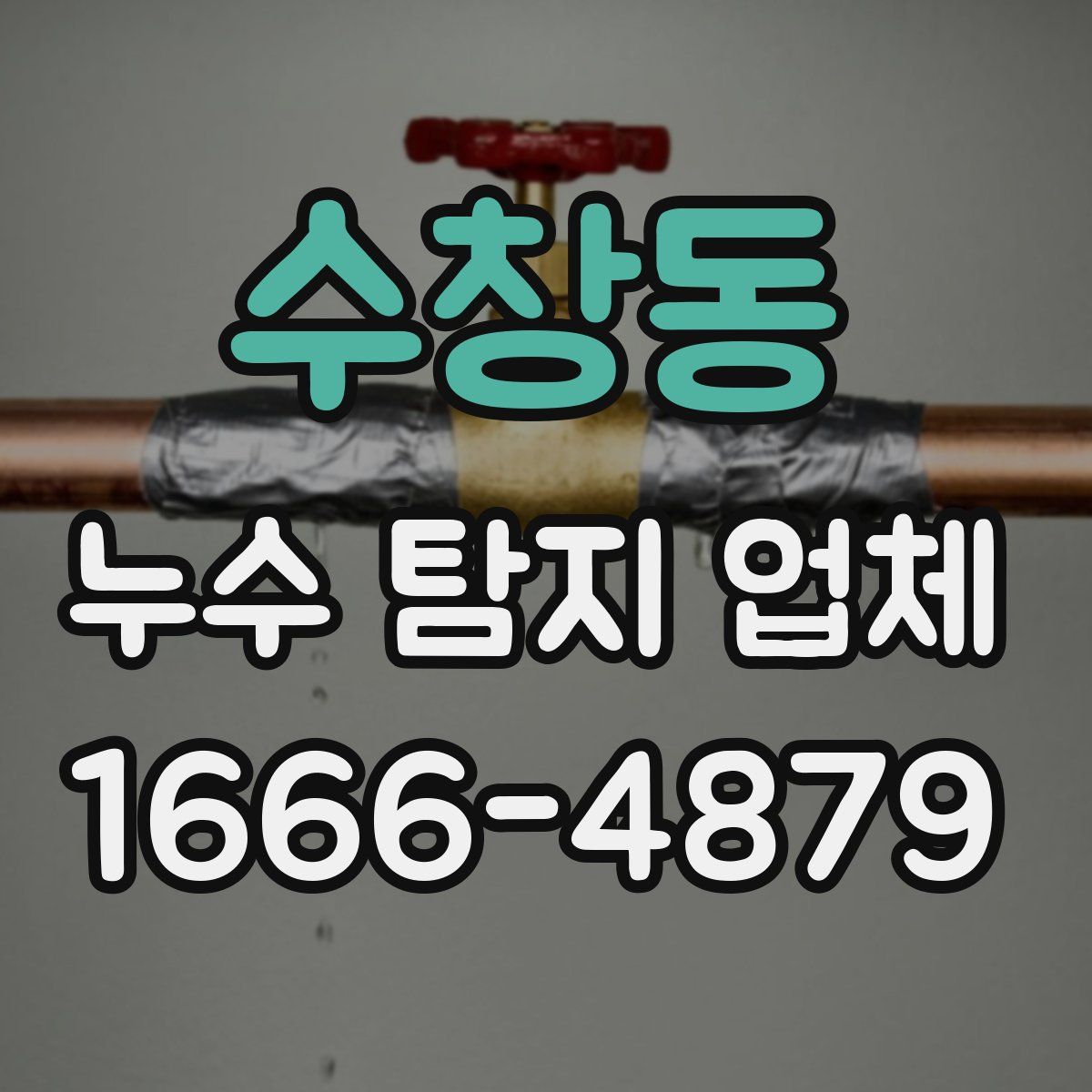 수창동 누수 탐지 업체