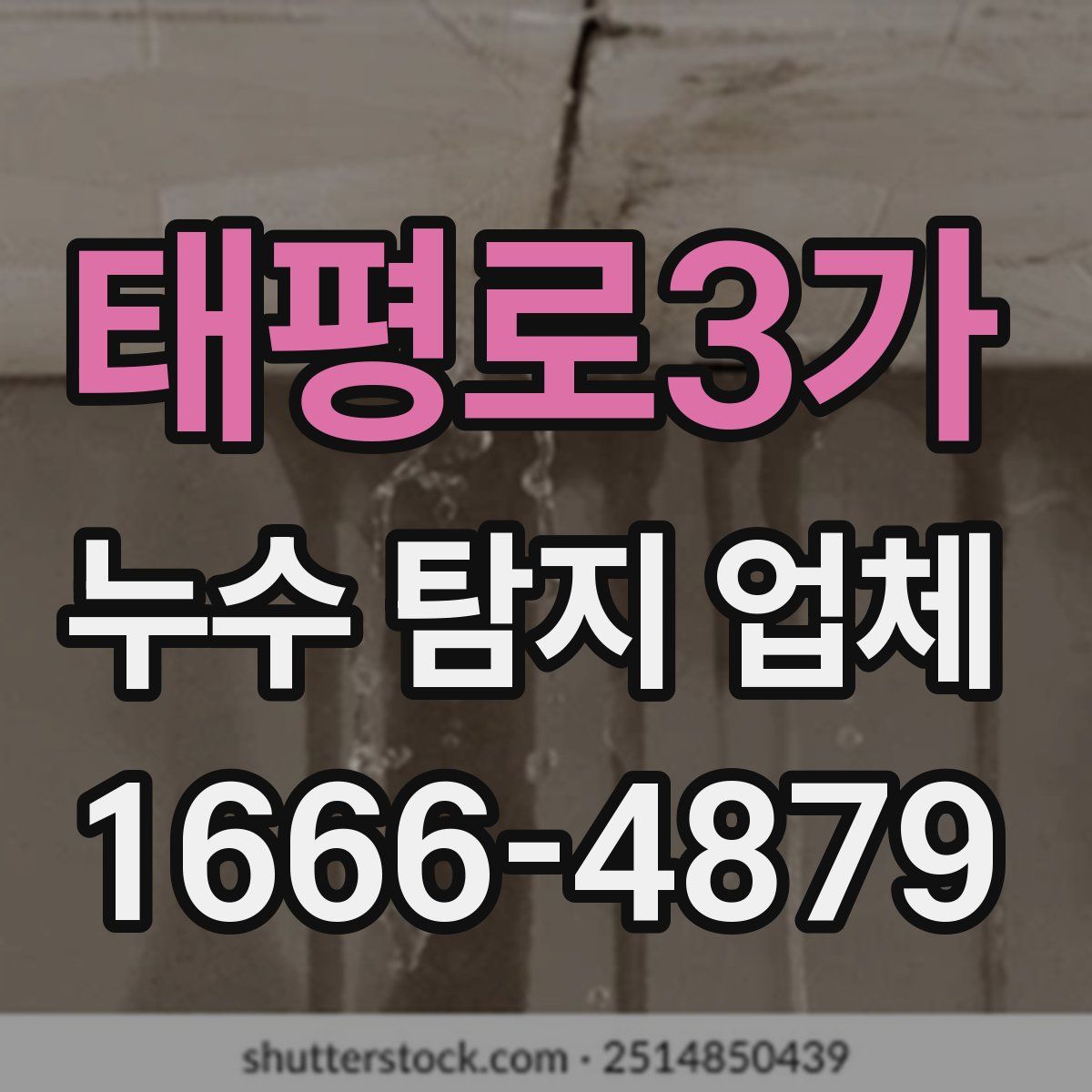태평로3가 누수 탐지 업체