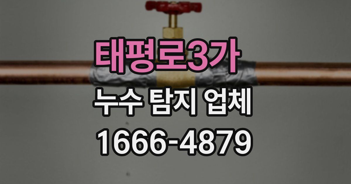 태평로3가 누수 탐지 업체