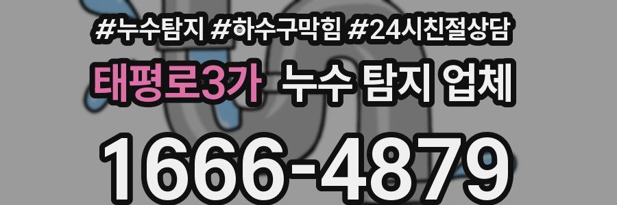 태평로3가 누수 탐지 업체