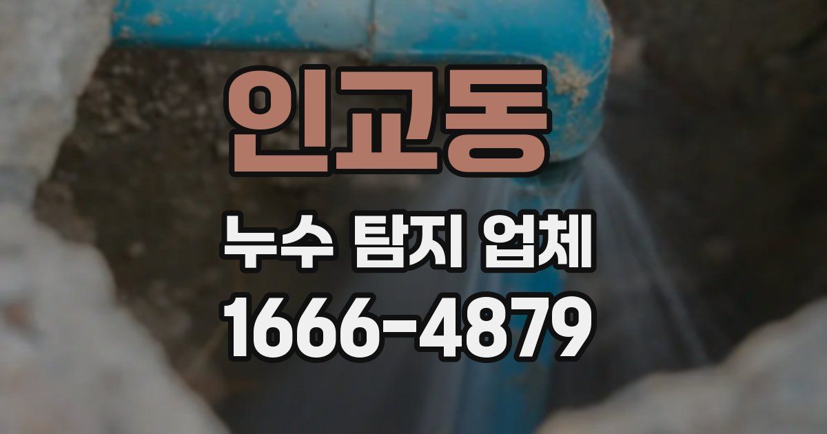 인교동 누수 탐지 업체