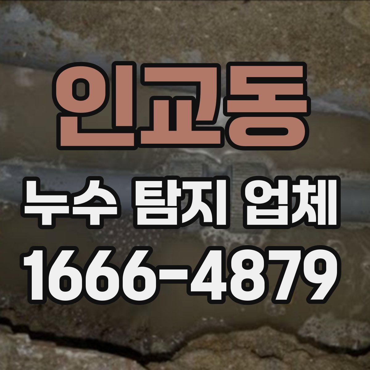인교동 누수 탐지 업체