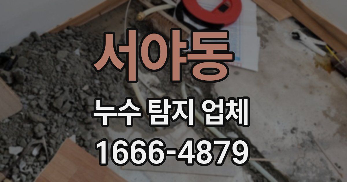 서야동 누수 탐지 업체