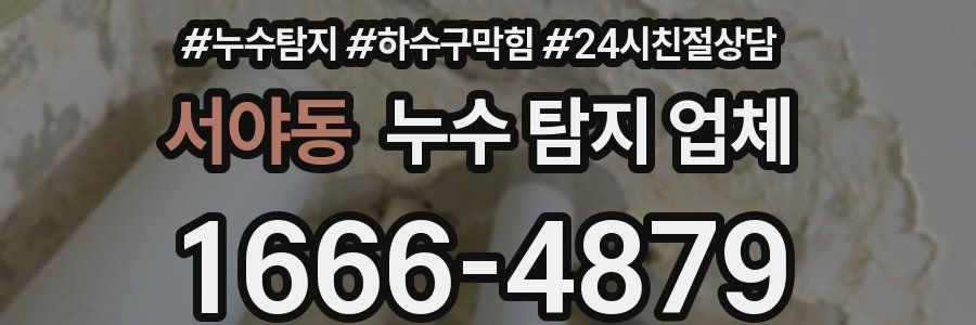 서야동 누수 탐지 업체