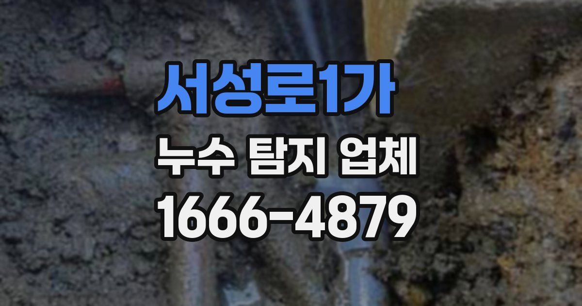 서성로1가 누수 탐지 업체