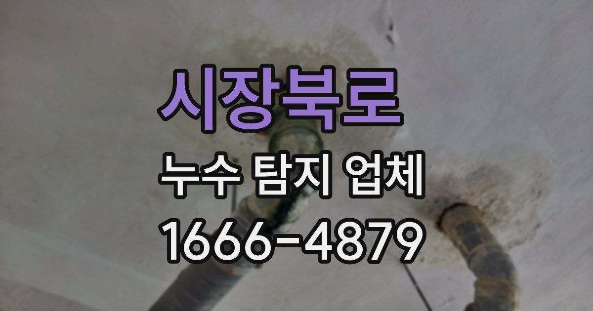 시장북로 누수 탐지 업체