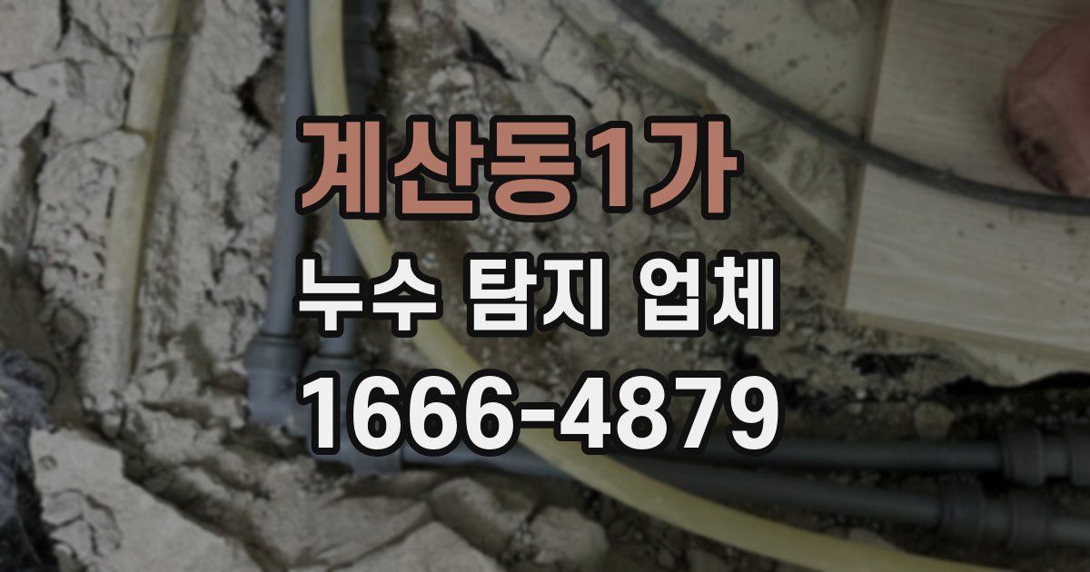 계산동1가 누수 탐지 업체