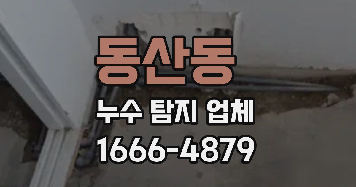 동산동 누수 탐지 업체