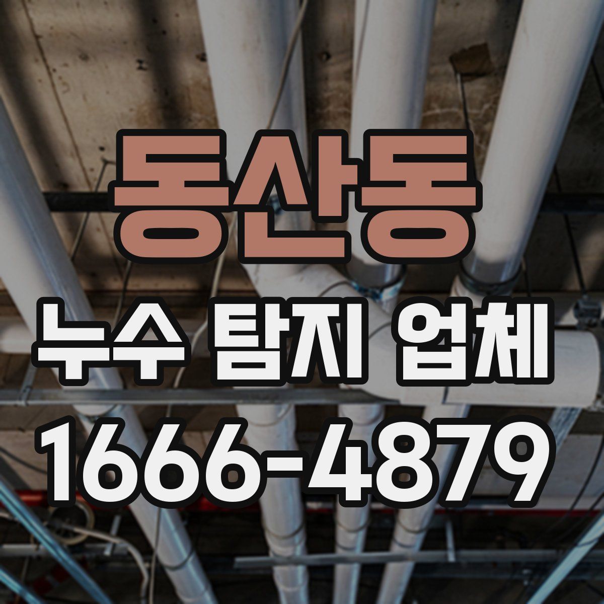 동산동 누수 탐지 업체