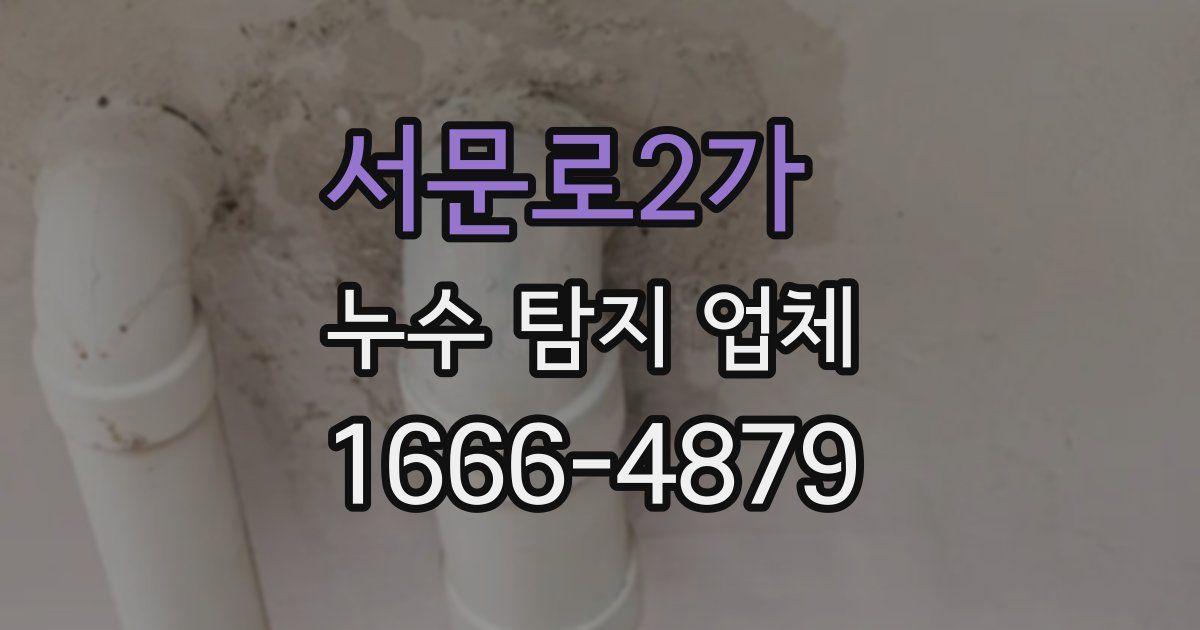 서문로2가 누수 탐지 업체