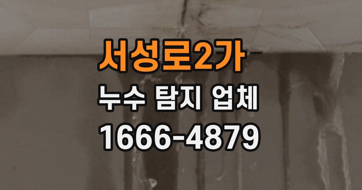 서성로2가 누수 탐지 업체