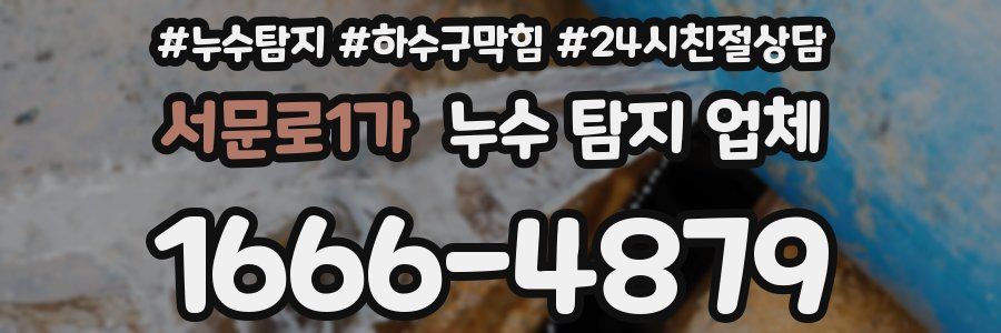 서문로1가 누수 탐지 업체