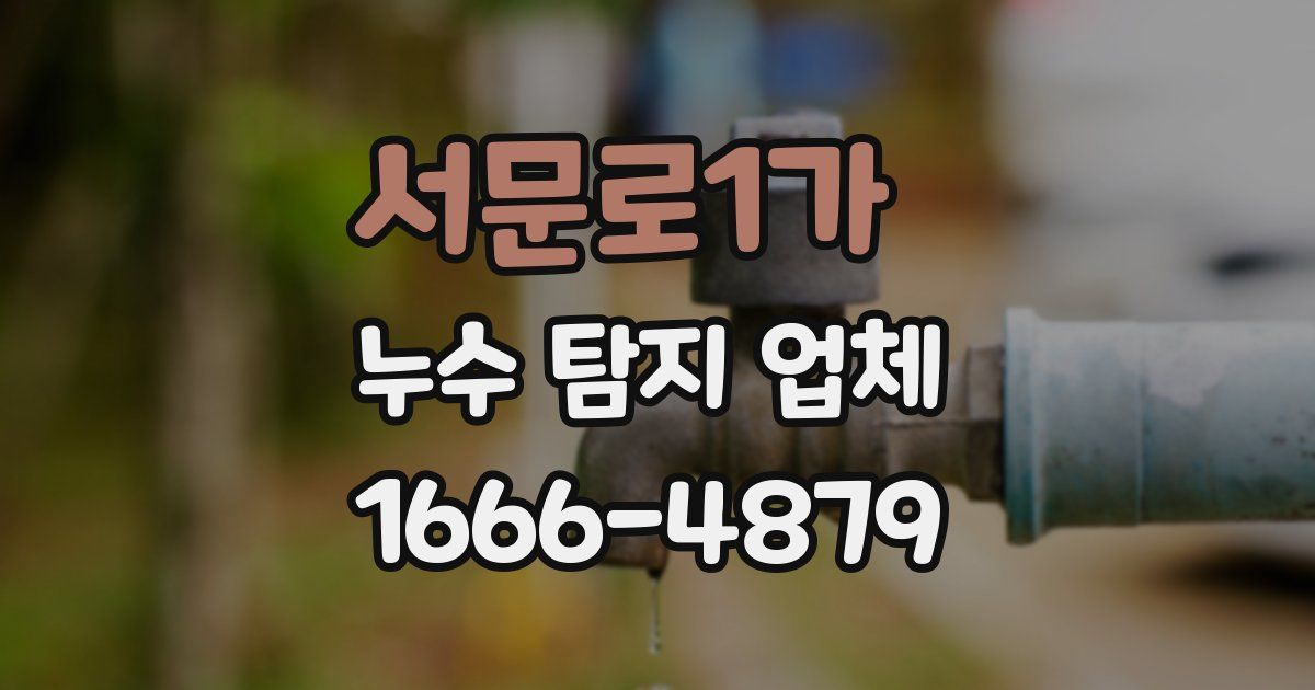 서문로1가 누수 탐지 업체