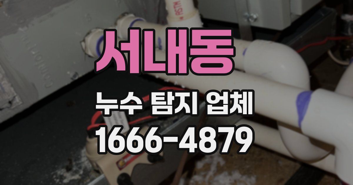 서내동 누수 탐지 업체