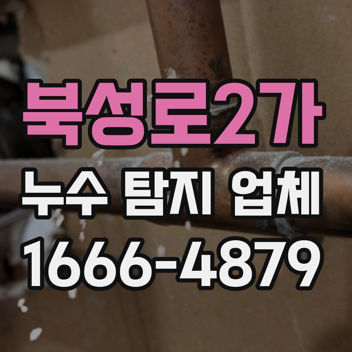 북성로2가 누수 탐지 업체